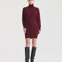 Signature Cashmere Turtleneck Dress